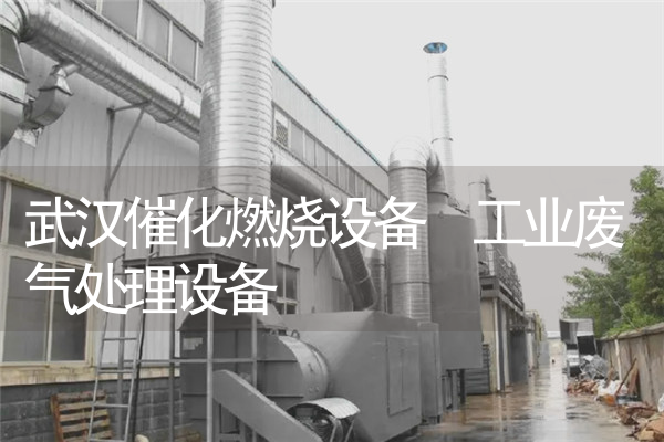 武汉催化燃烧设备 工业废气处理设备
